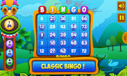  Bingo Classic Jungle screenshot 4/5