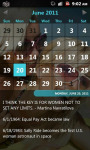 The official Lesbian Calendar screenshot 2/3