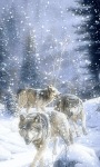 Snow Wolves Live Wallpaper screenshot 2/3