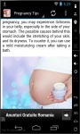 100 Pregnancy Tips 2014 screenshot 2/3
