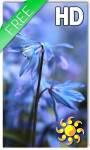 Blue Flower Live Wallpaper HD screenshot 1/2