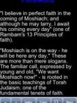 Highlights of Moshiach screenshot 1/1