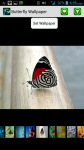 Beautiful Butterfly HD Wallpapers screenshot 1/4