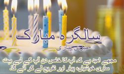 Urdu Birthday Wishes SMS screenshot 2/6