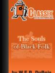 The Souls of Black Folk by W.E.B. Du Bois (Text Synchronized Audiobook) screenshot 1/1