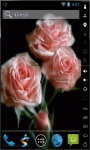Blooming Pink Roses Final Live Wallpaper screenshot 2/2