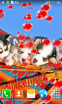 Cute Puppies Live Wallpapers screenshot 2/6