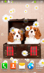Cute Puppies Live Wallpapers screenshot 6/6