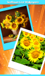 Sunflower Live Wallpapers Best screenshot 1/6