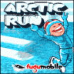 Arctic Run screenshot 1/1