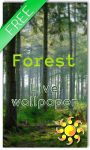 Forest LWP HD screenshot 1/2
