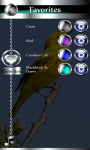 New Bird Ringtones screenshot 4/6