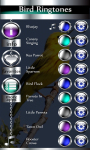 New Bird Ringtones screenshot 6/6
