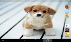 Ultimate Puppies Live Wallpaper screenshot 4/6