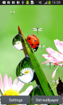 Ladybug Live Wallpapers screenshot 3/6