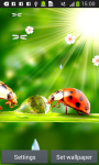 Ladybug Live Wallpapers screenshot 4/6