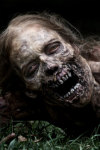 Zombie Horror HD Wallpaper XY screenshot 4/4