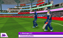 World T20 Cricket Champions screenshot 2/6