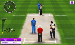 World T20 Cricket Champions screenshot 5/6