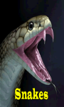 Snakes Lite  screenshot 1/3