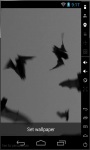 Bird Invasion Live Wallpaper screenshot 1/2