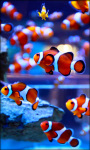 Amazing Fish in the sea images HD wallpaper screenshot 5/6