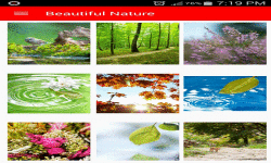 HD Beautiful Nature Wallpapers screenshot 1/6