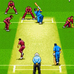 Cricket Forever screenshot 2/2