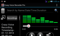 Crazy Voice Recorder screenshot 2/6