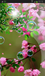 Pink Sakura Flow Bubbles HD screenshot 2/3