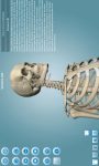 Anatomy 3D - Anatronica screenshot 1/4