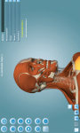 Anatomy 3D - Anatronica screenshot 2/4