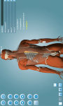 Anatomy 3D - Anatronica screenshot 3/4