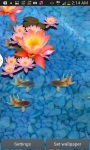 Goldfish Swim 3D Aquarium LWP screenshot 1/3