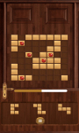 Door Blocks Puzzle screenshot 4/4