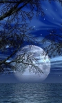 Romantic Blue Moon screenshot 1/3
