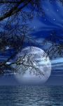 Romantic Blue Moon screenshot 2/3