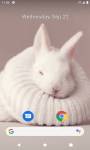 Rabbit Wallpaper 2024 screenshot 5/6