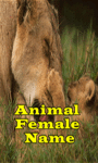  Animal Female Name screenshot 1/1