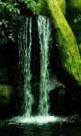 Slow Waterfall Live Wallpaper screenshot 1/3