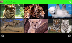 Wildlife Animal Wallpapers screenshot 2/6