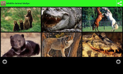 Wildlife Animal Wallpapers screenshot 3/6