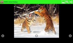 Wildlife Animal Wallpapers screenshot 6/6
