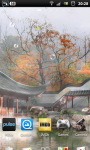 Misty Chinese Garden LWP screenshot 6/6