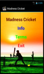 Madness Cricket screenshot 2/4