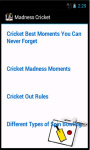 Madness Cricket screenshot 3/4
