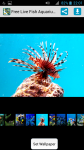 Free Live Fish Aquarium HQ Wallpaper  screenshot 1/4