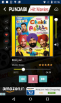 Punjabi Hit Movies screenshot 4/4