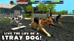 Stray Dog Simulator safe screenshot 2/6