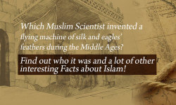 Islamic Fact Resource screenshot 3/3